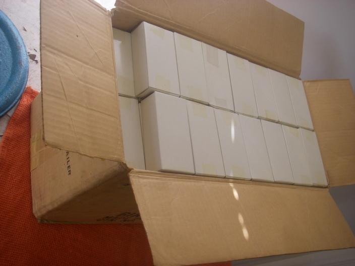 imgp7950.jpg