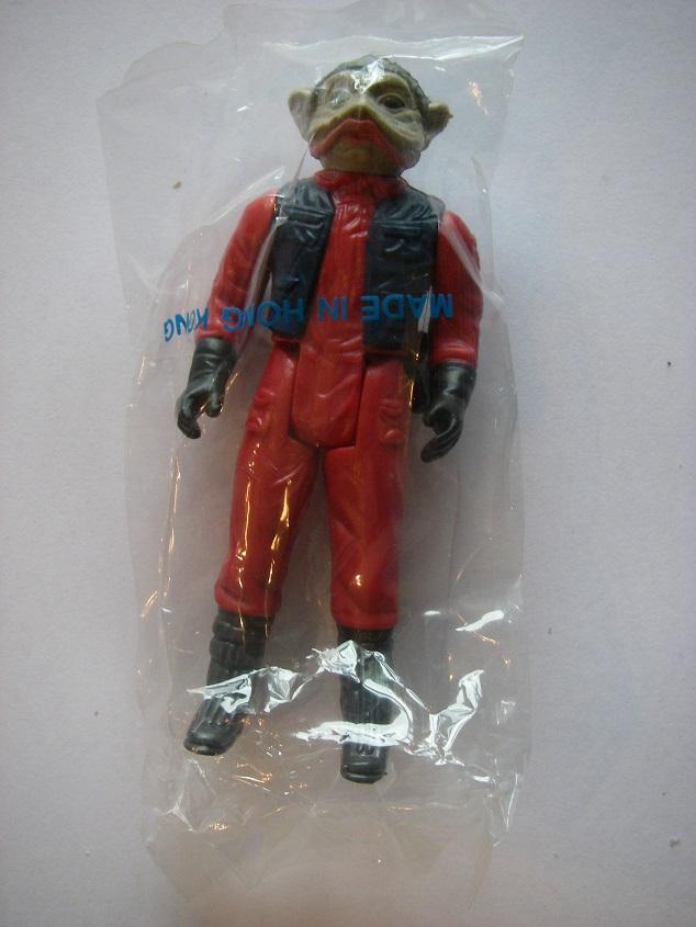IMGP9899.JPG