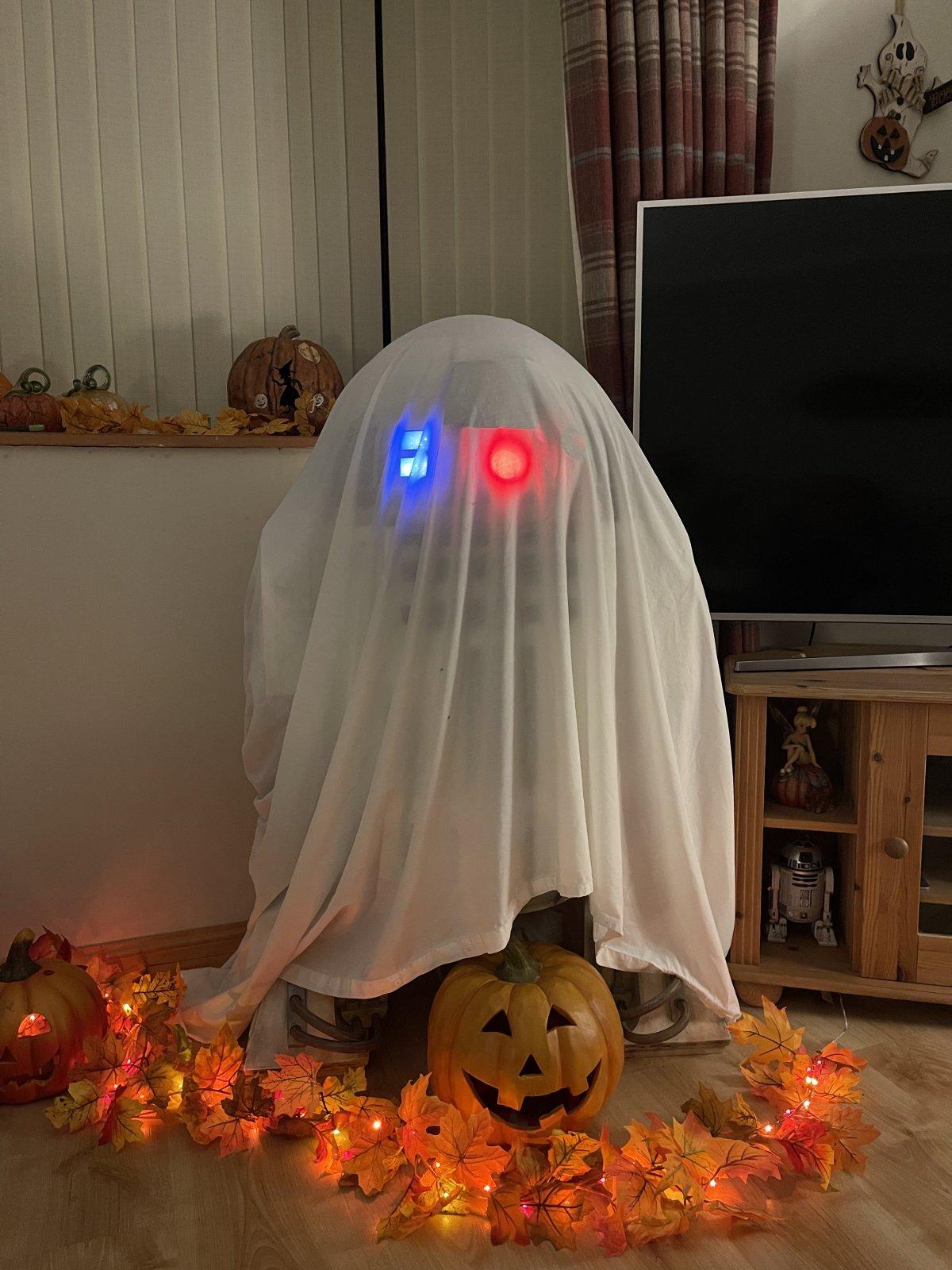 13934342-A774-4F47-AEE6-5162527A5A5D.jpeg