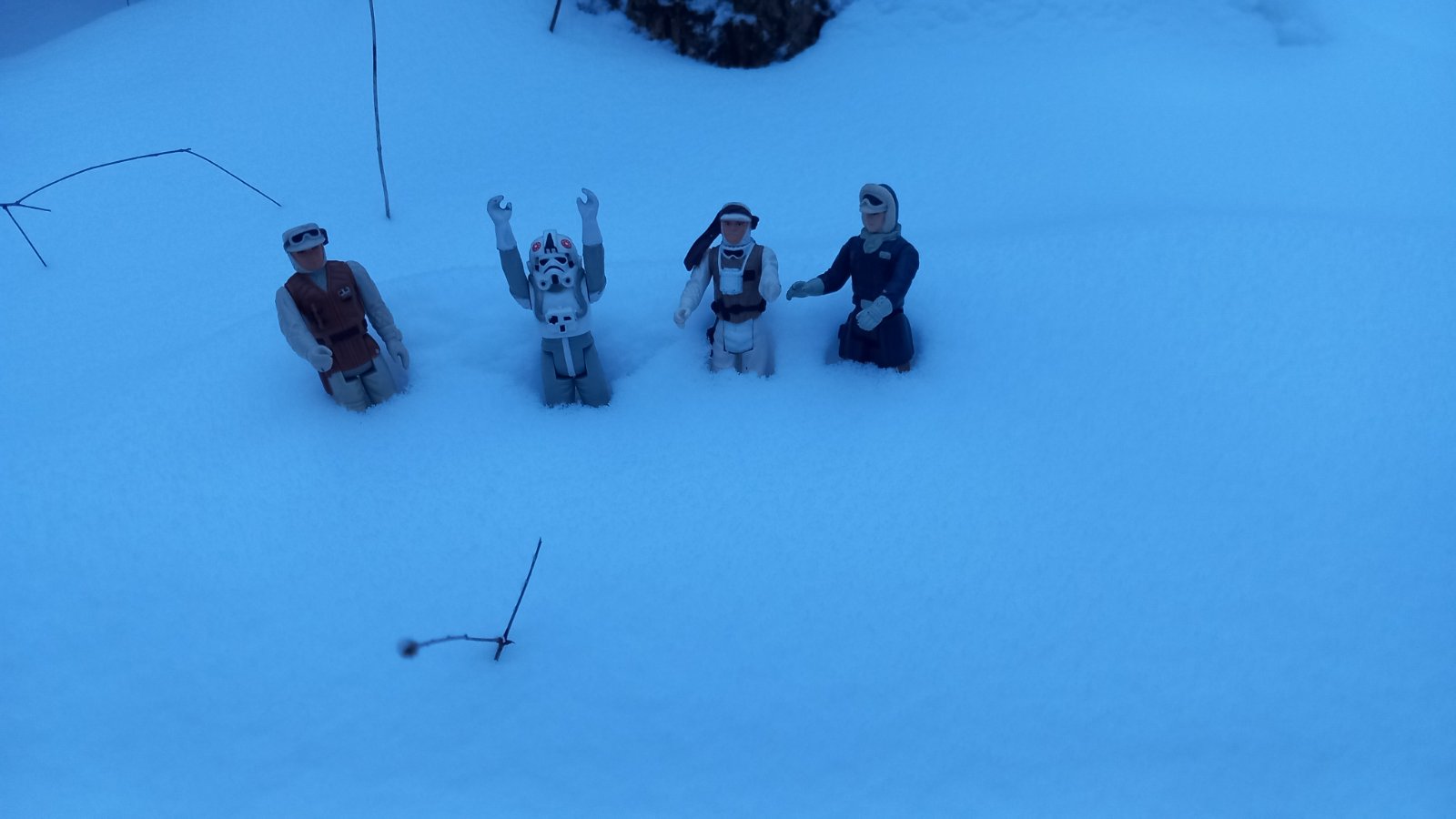 20260206_075300.jpg