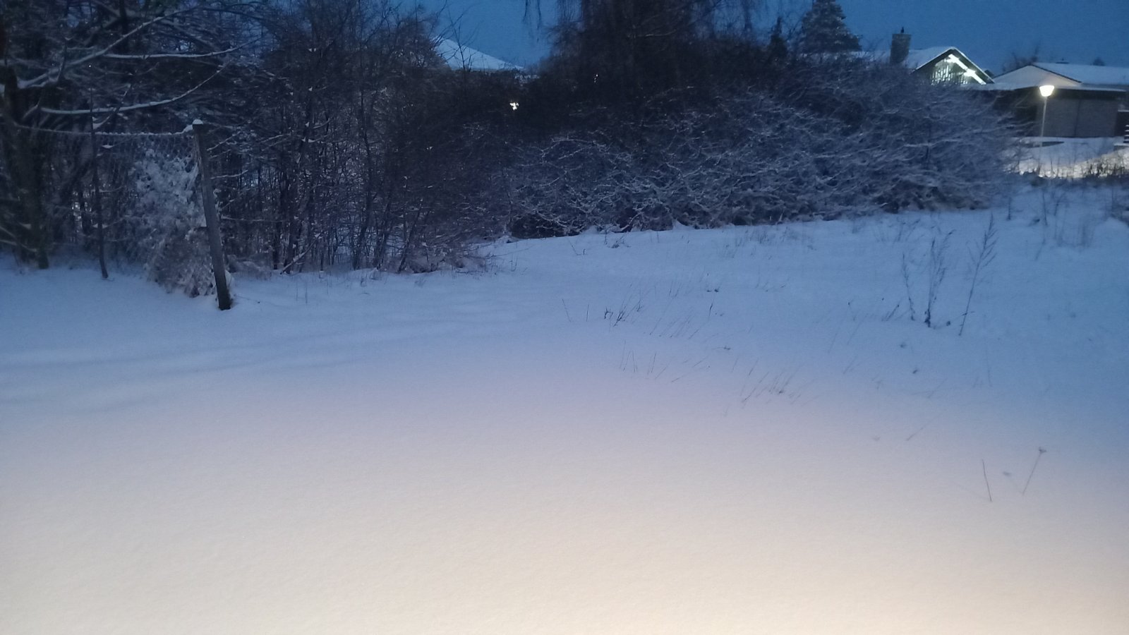 20260206_071826.jpg