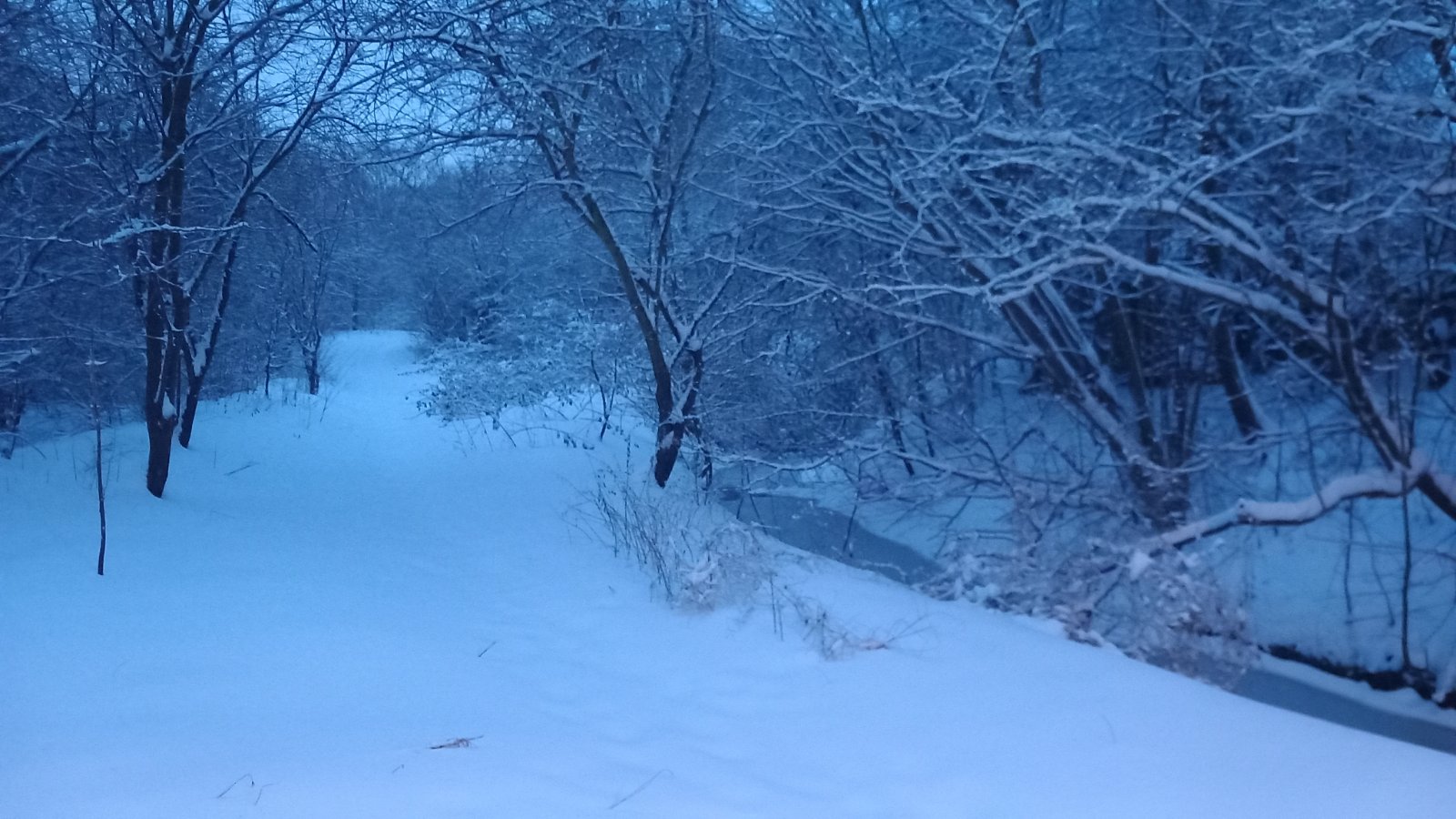 20260206_072804.jpg
