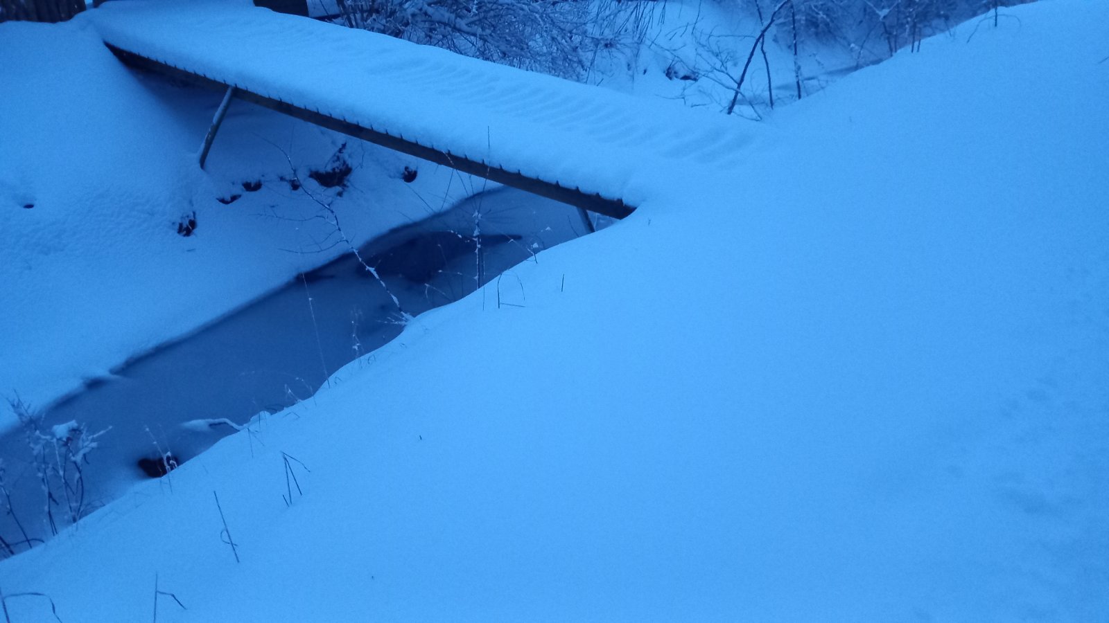 20260206_073132.jpg