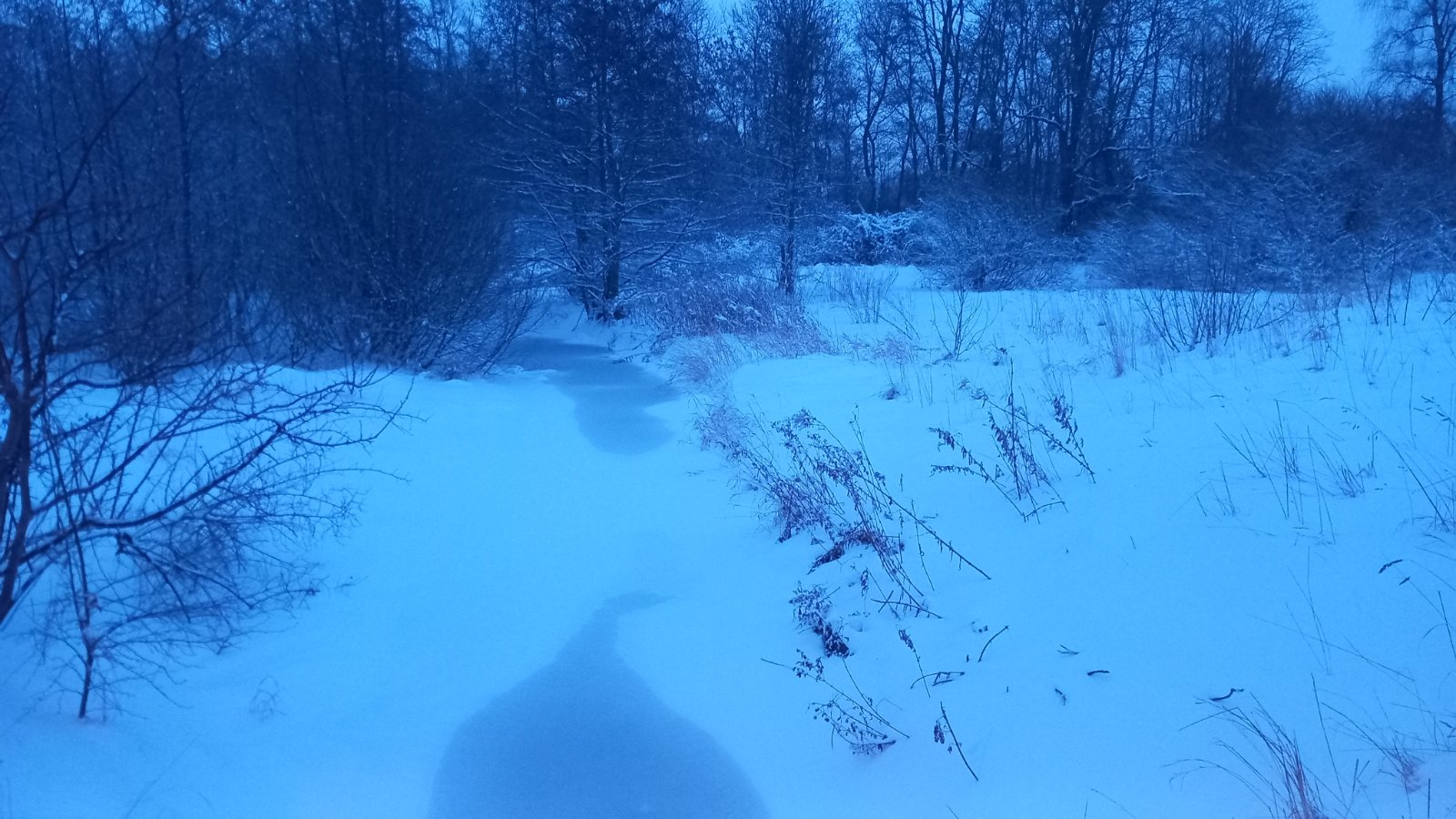 20260206_073355.jpg