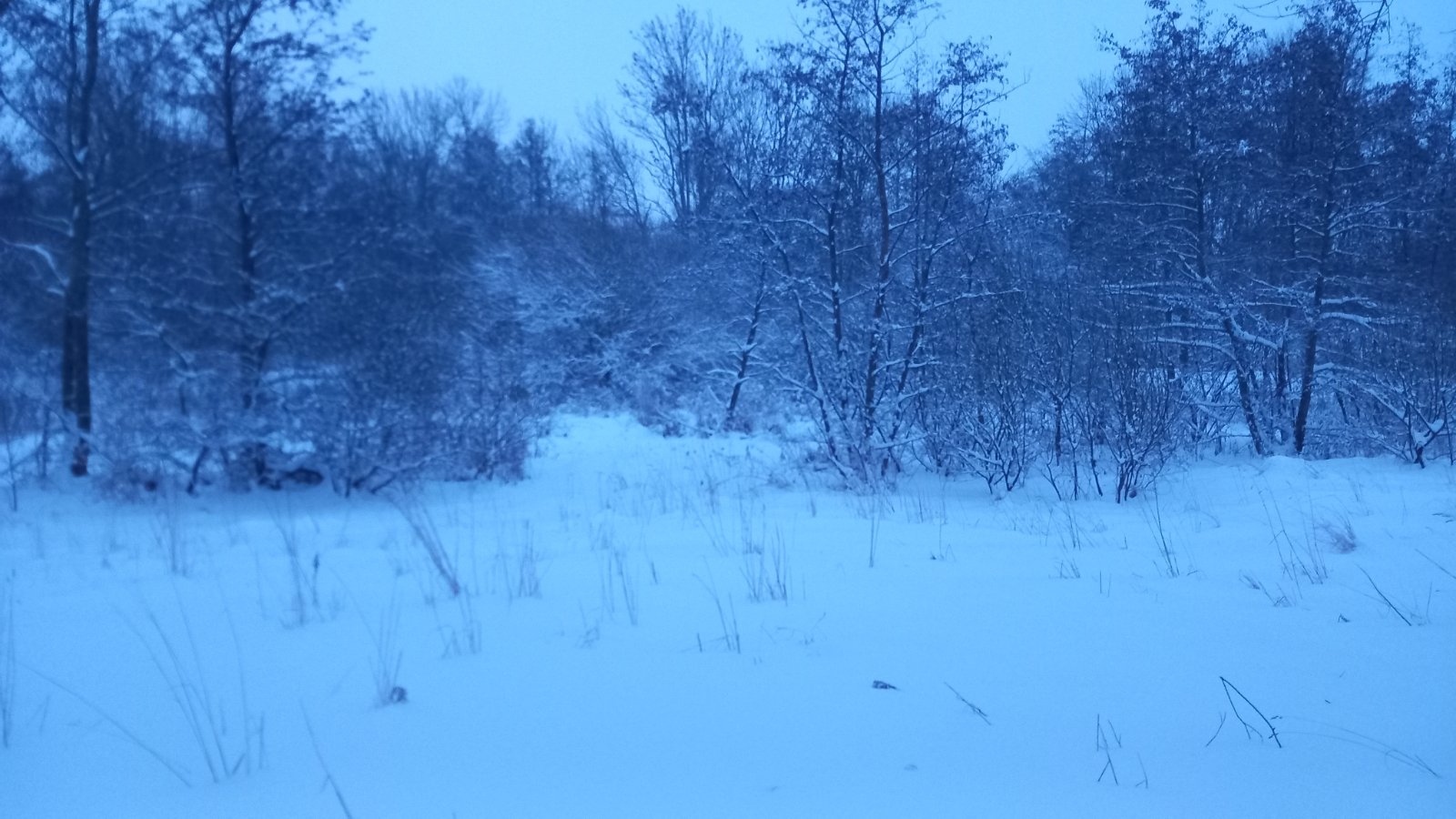 20260206_073501.jpg