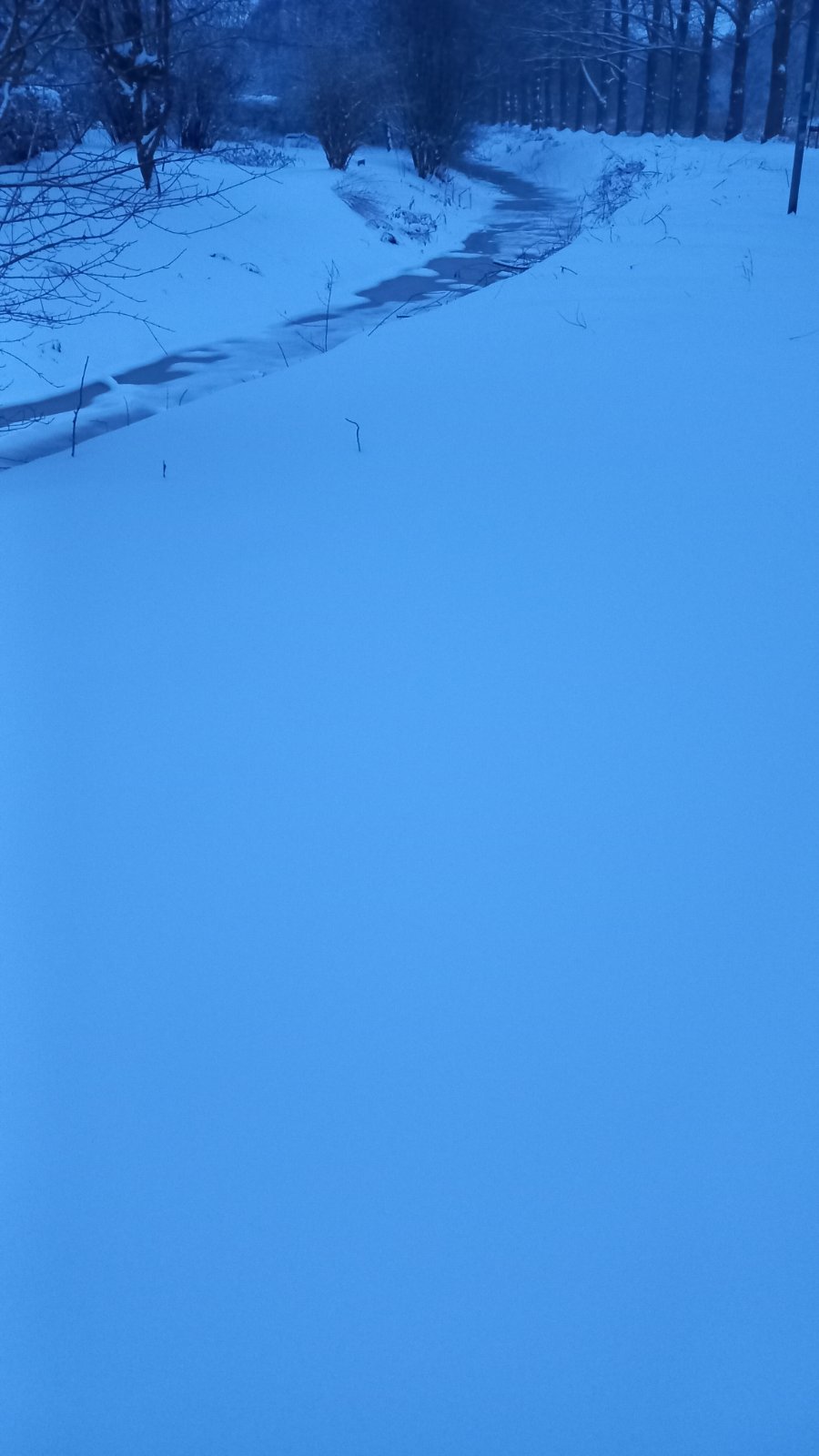 20260206_073559.jpg