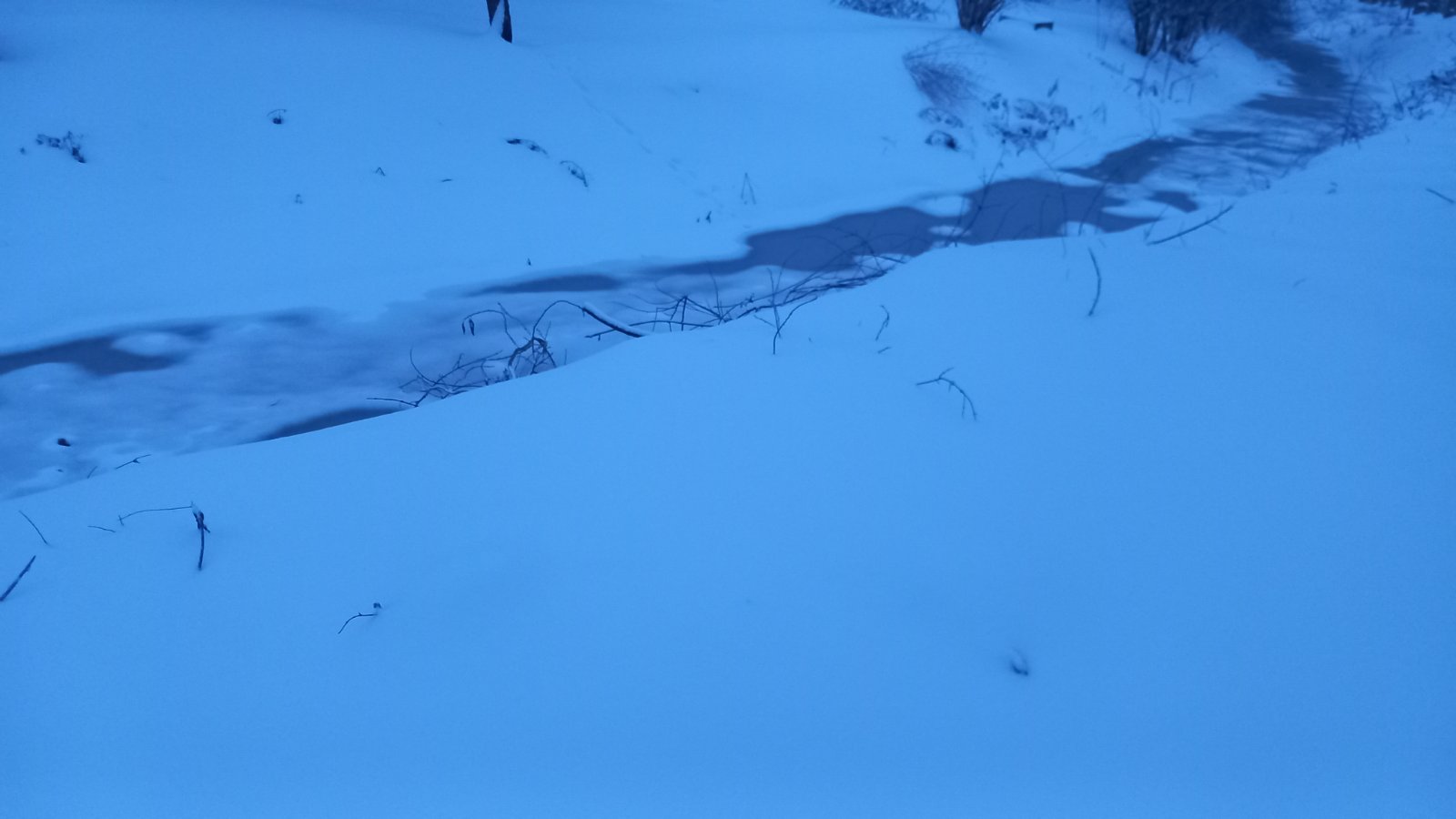 20260206_073623.jpg