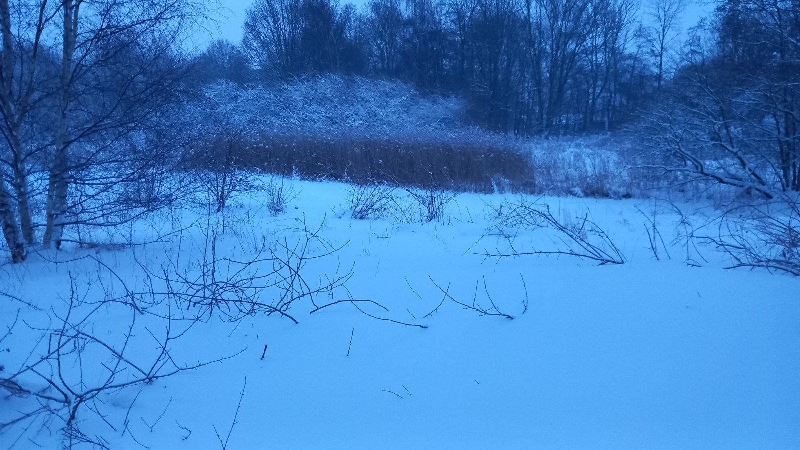 20260206_073636.jpg