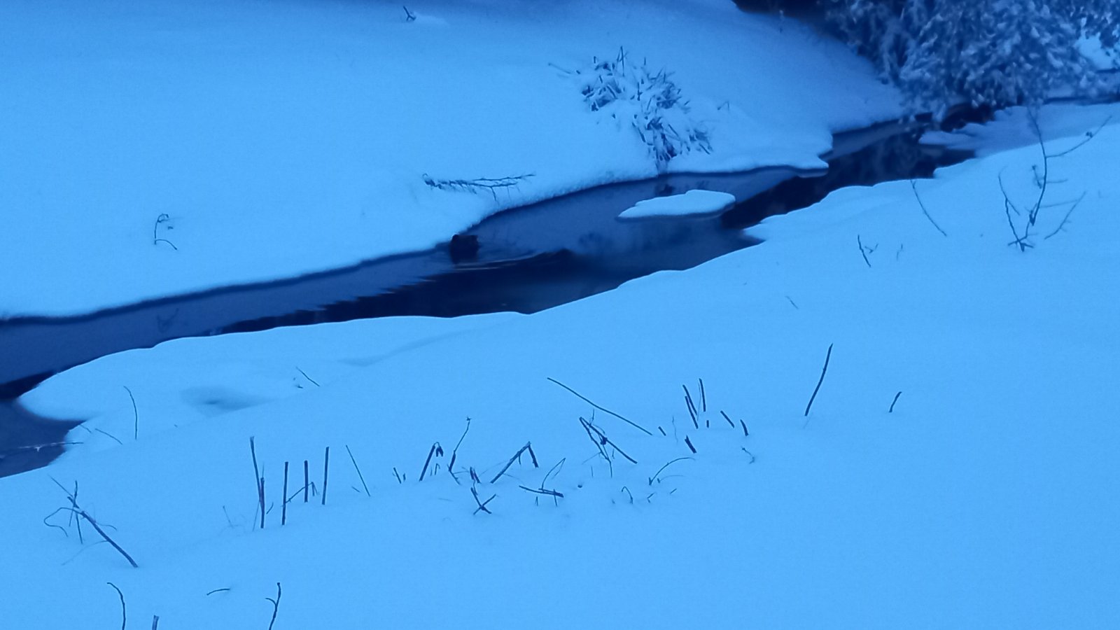 20260206_073922.jpg