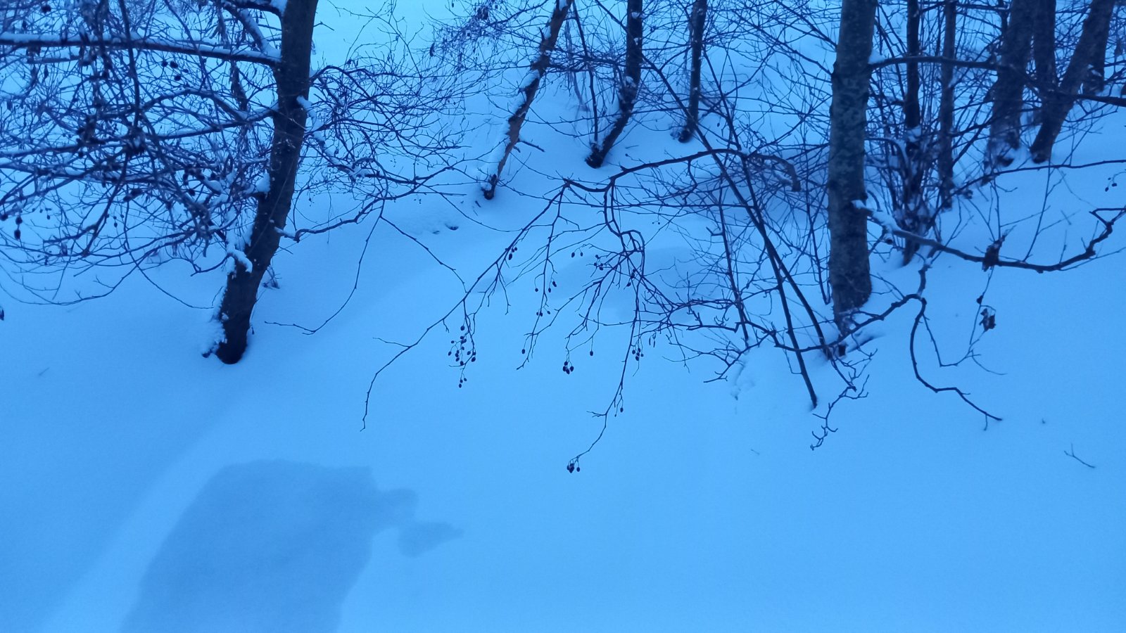 20260206_074052.jpg
