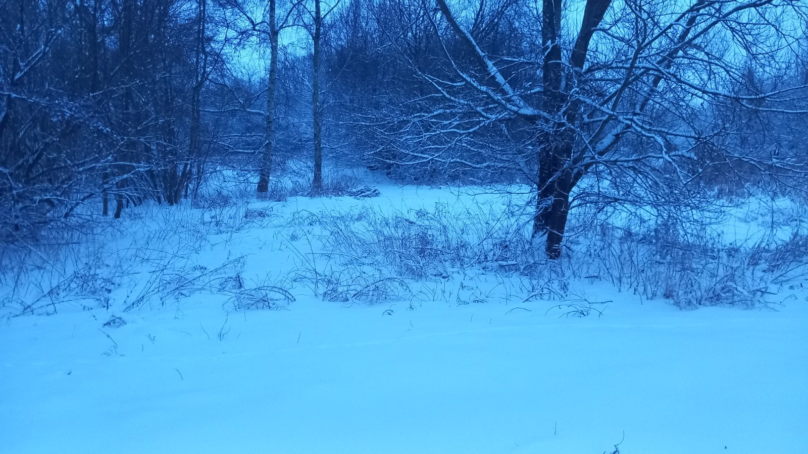 20260206_074439.jpg