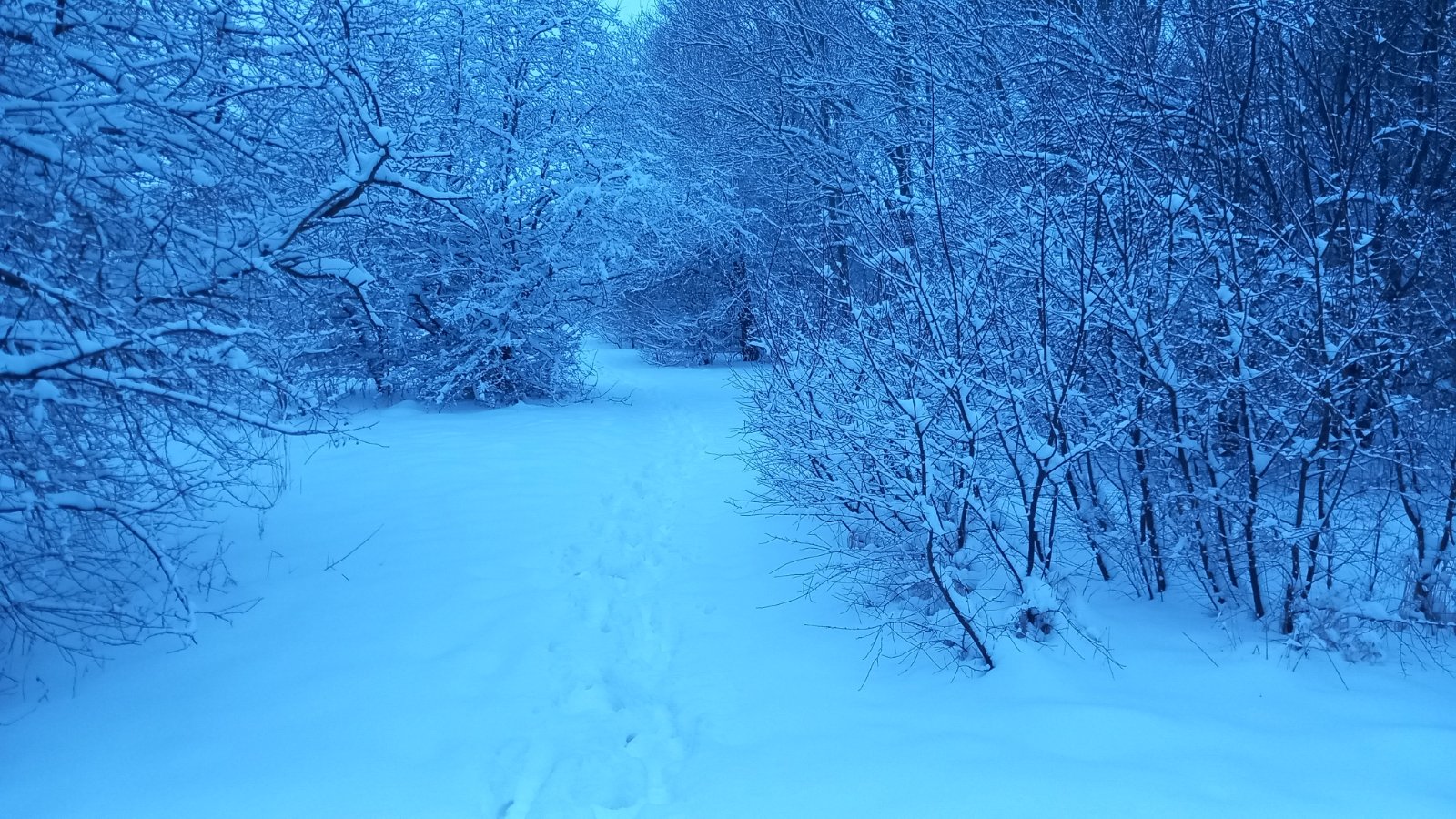 20260206_074741.jpg