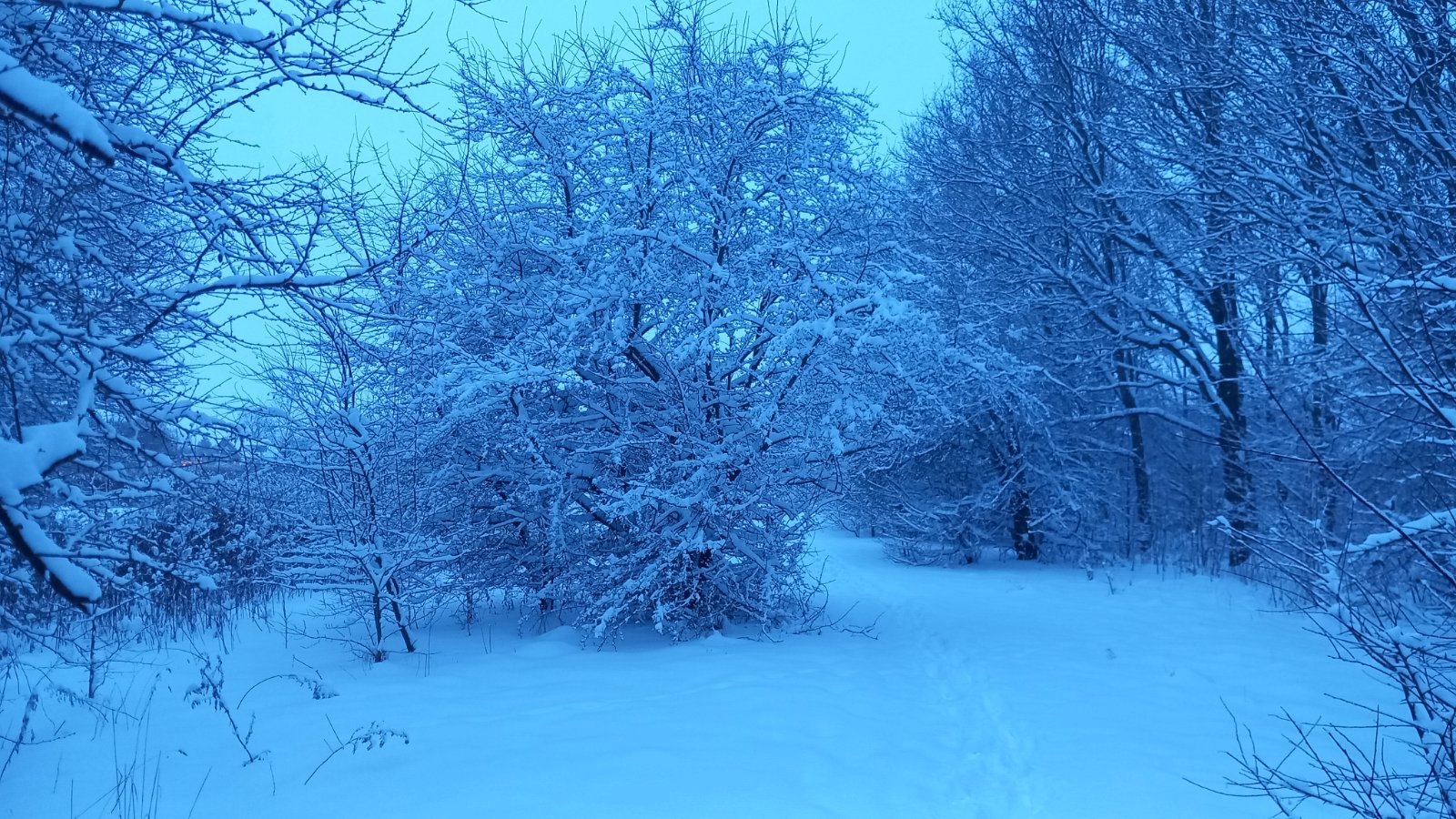 20260206_074801.jpg