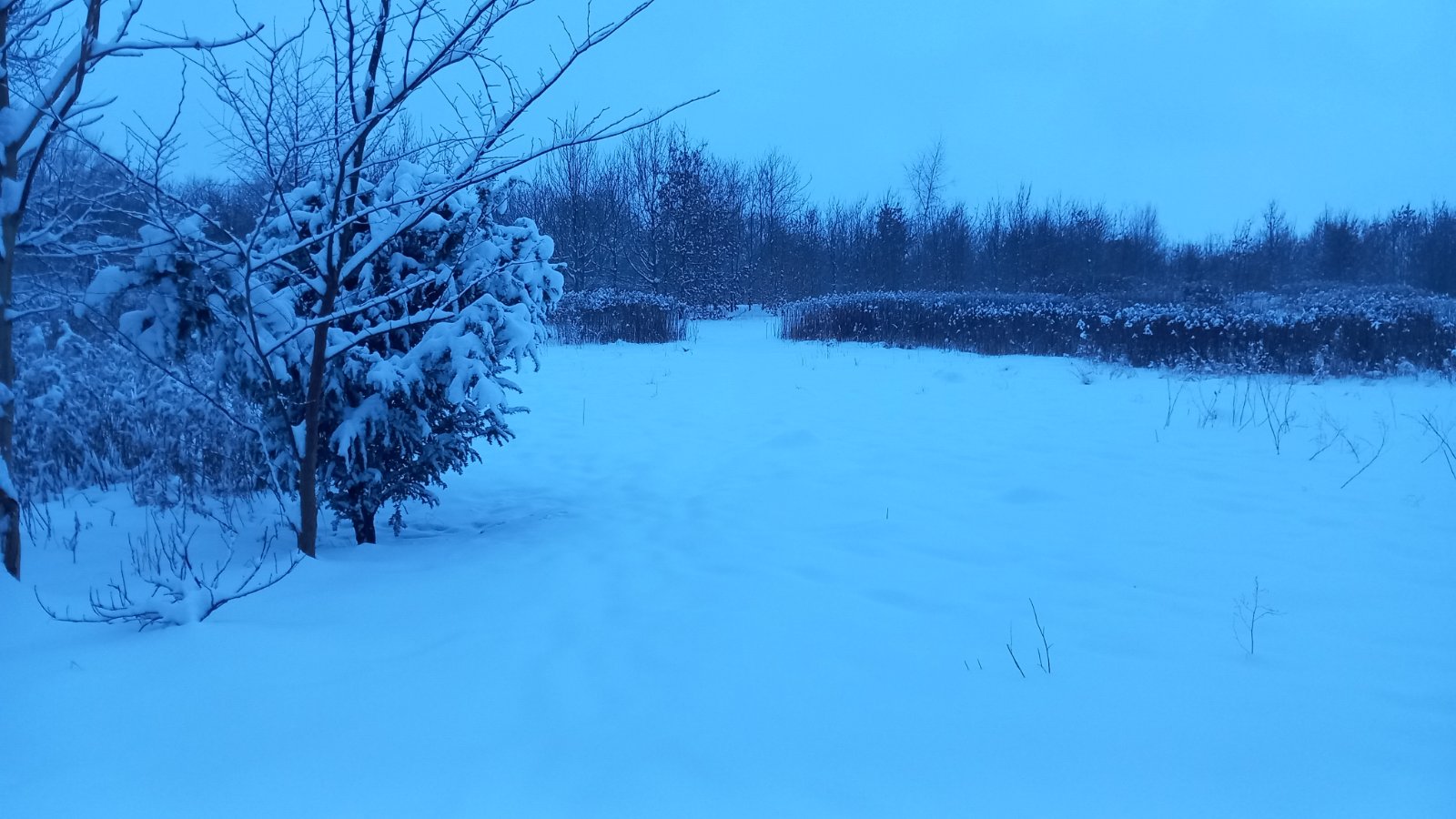 20260206_074848.jpg