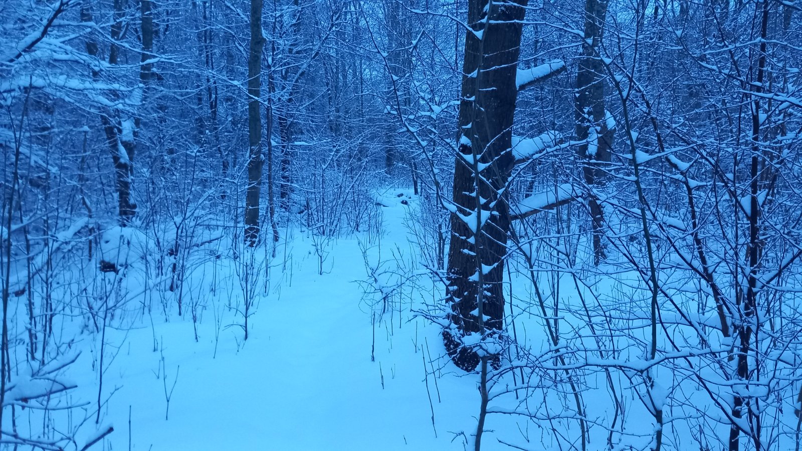20260206_074934.jpg