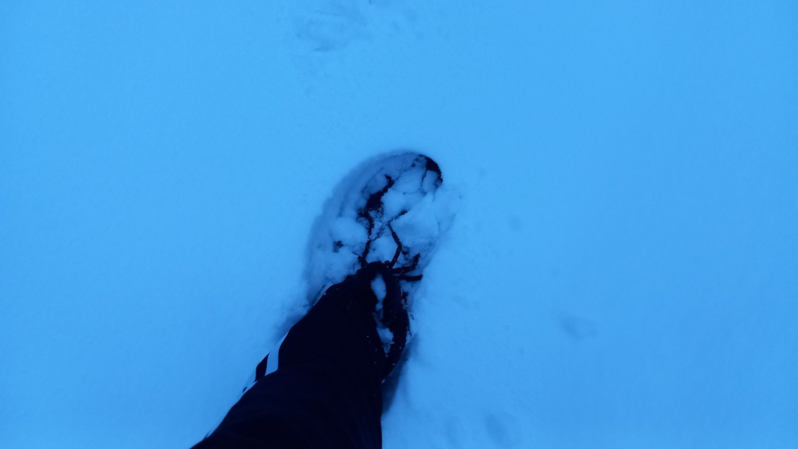 20260206_074959.jpg