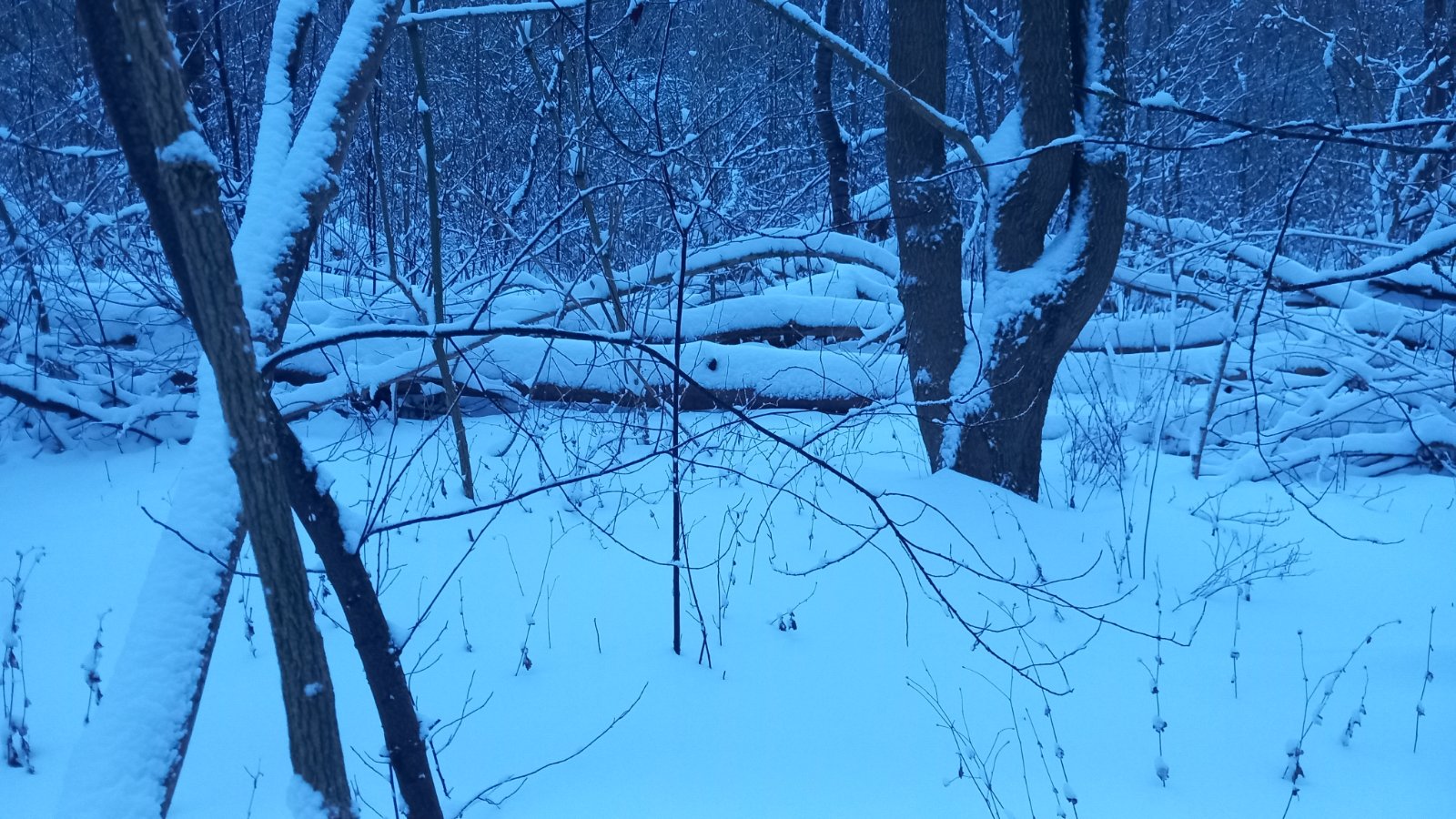 20260206_075110.jpg