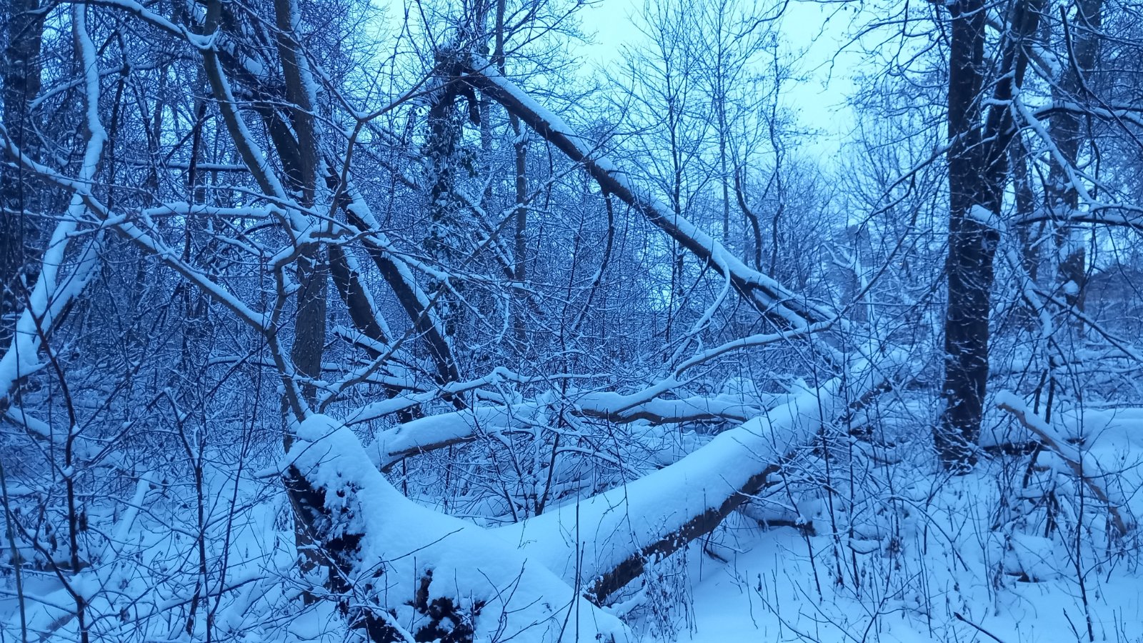 20260206_075558.jpg