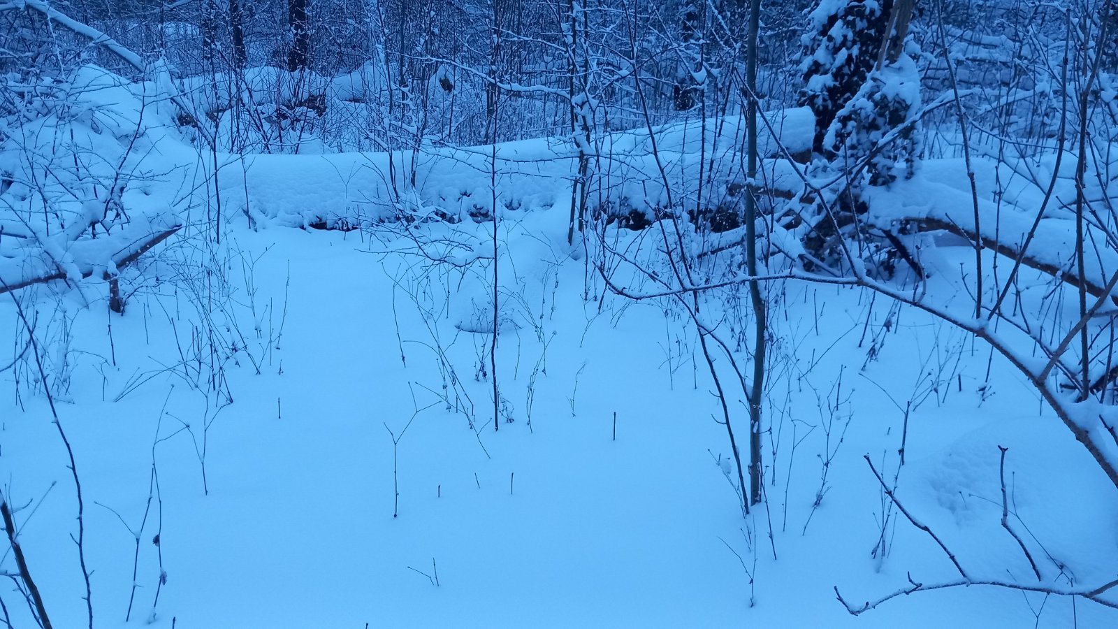 20260206_075700.jpg