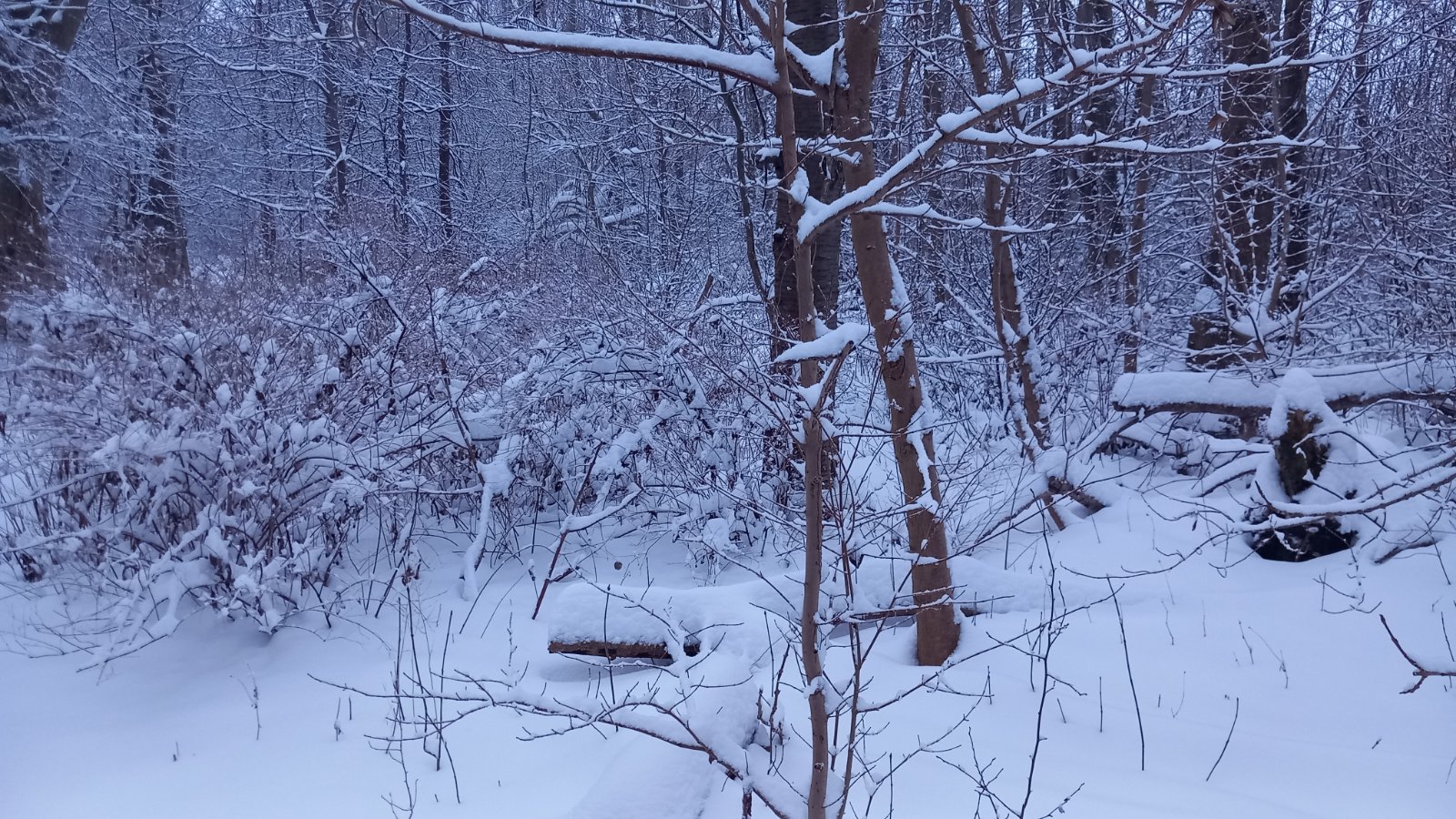 20260206_080019.jpg