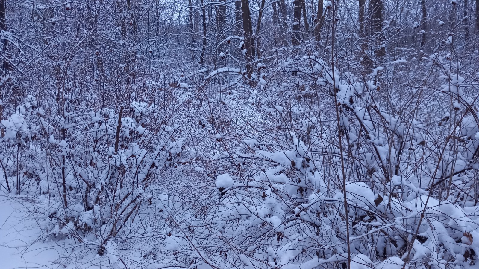 20260206_080038.jpg
