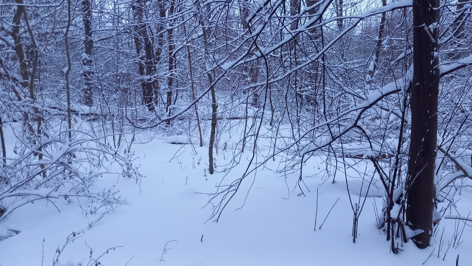 20260206_080107.jpg