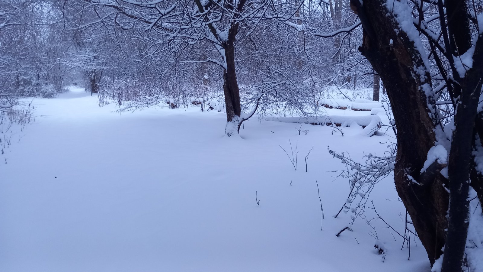 20260206_080204.jpg