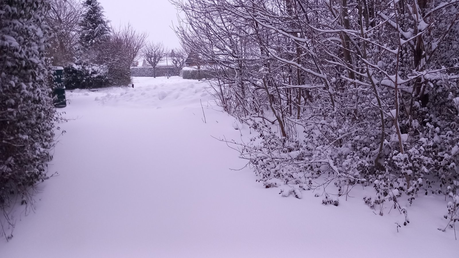 20260206_080248.jpg