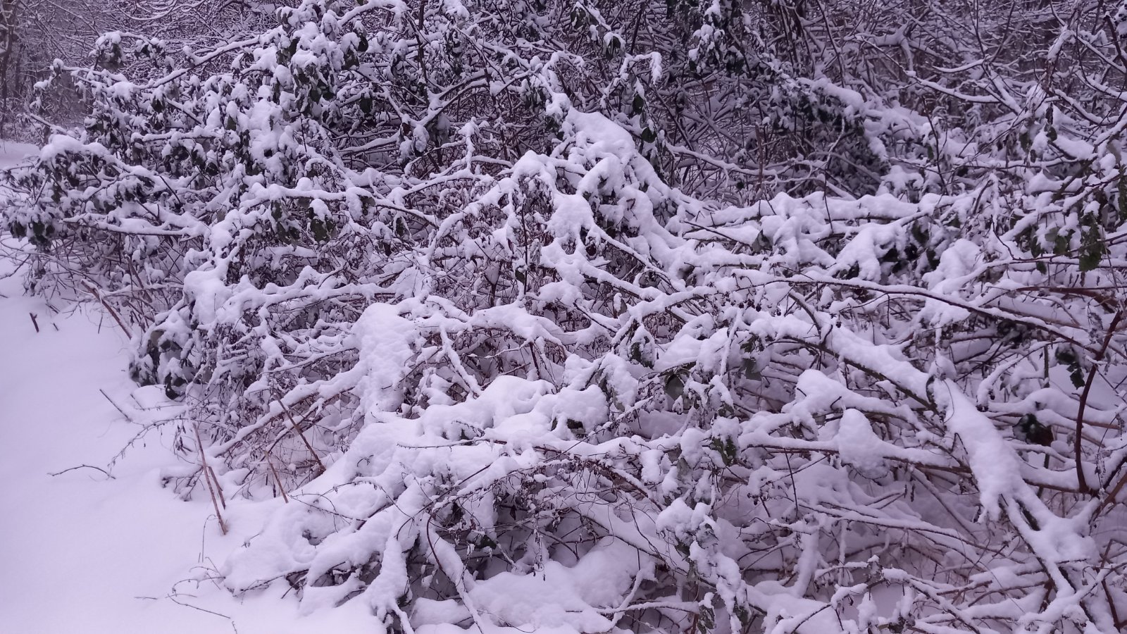 20260206_080430.jpg