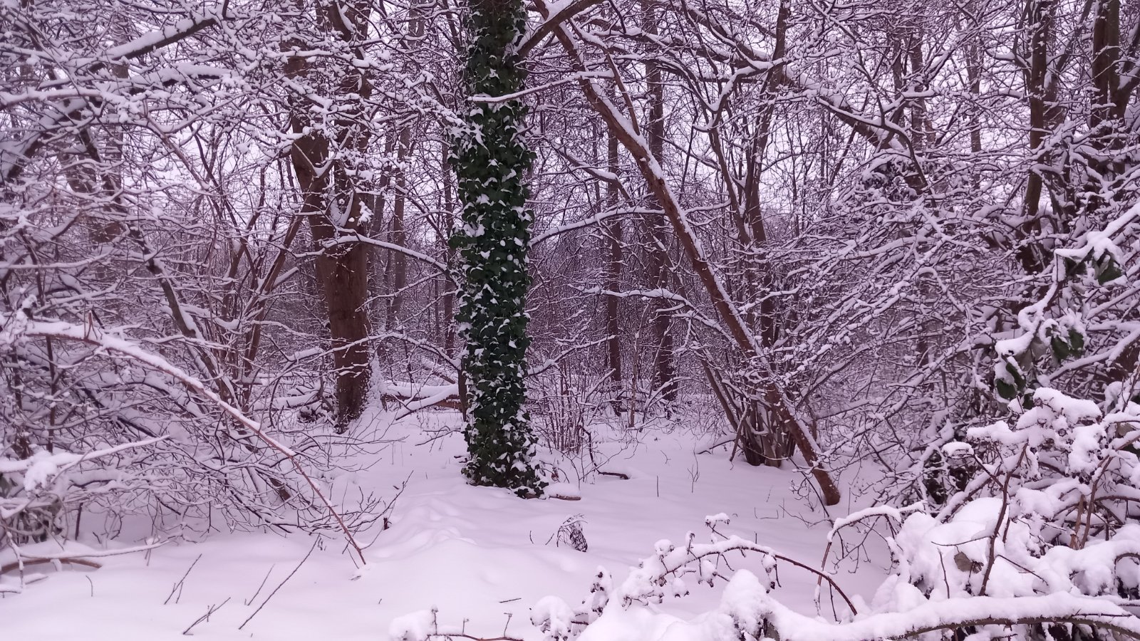 20260206_080450.jpg