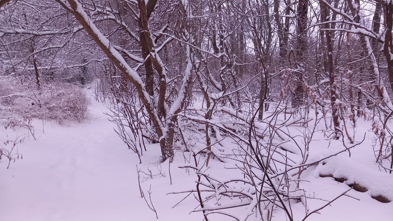 20260206_080534.jpg