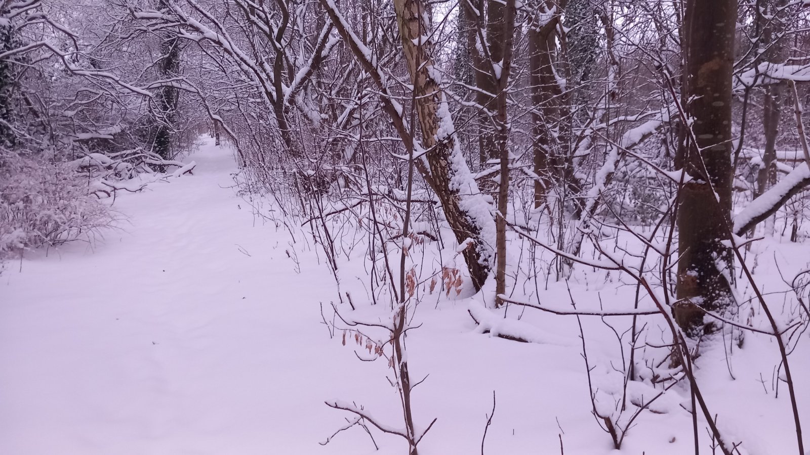 20260206_080608.jpg