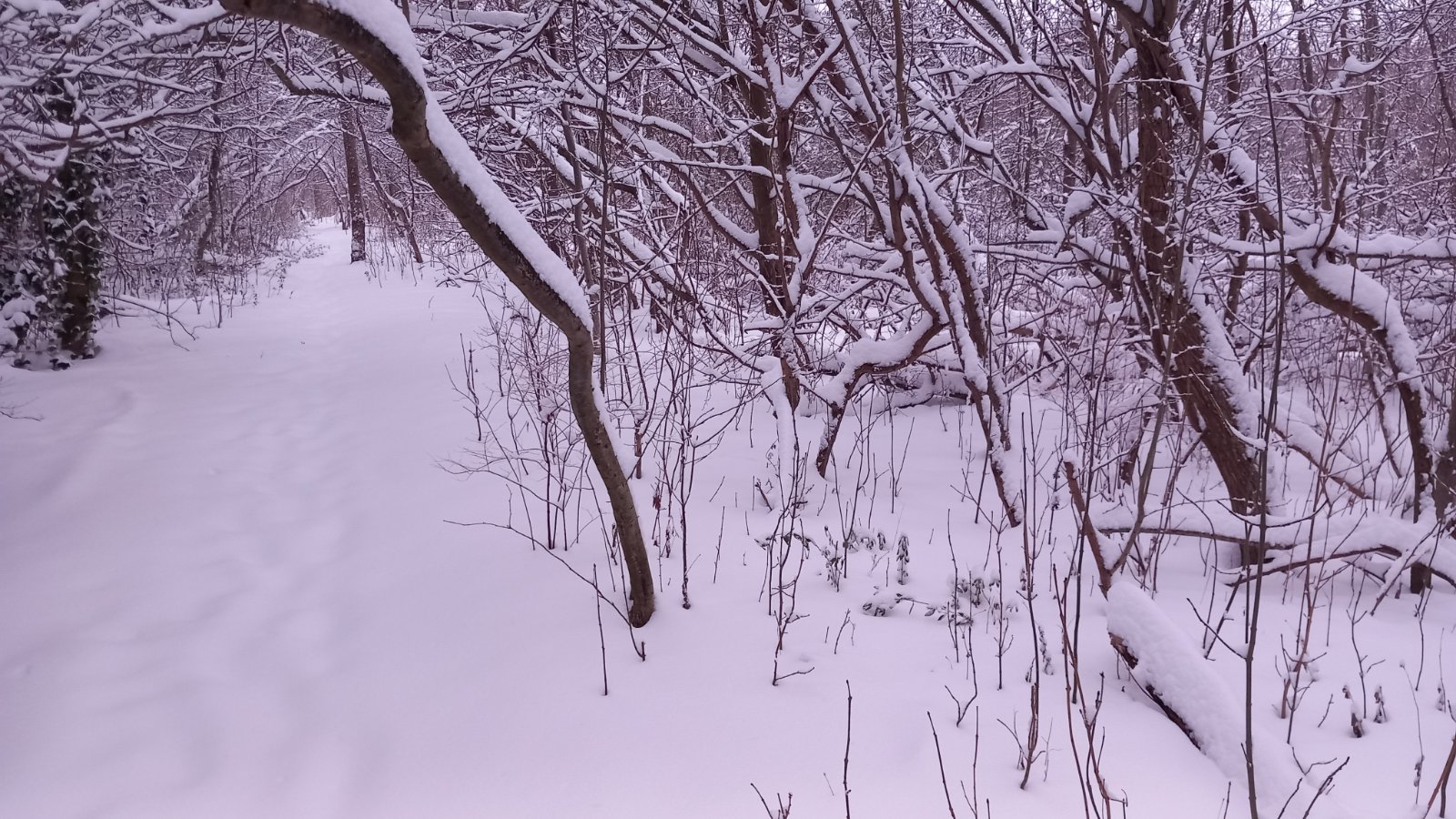 20260206_080634.jpg