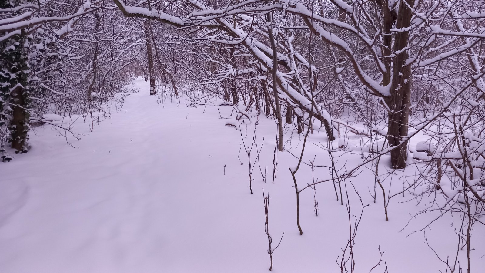 20260206_080644.jpg