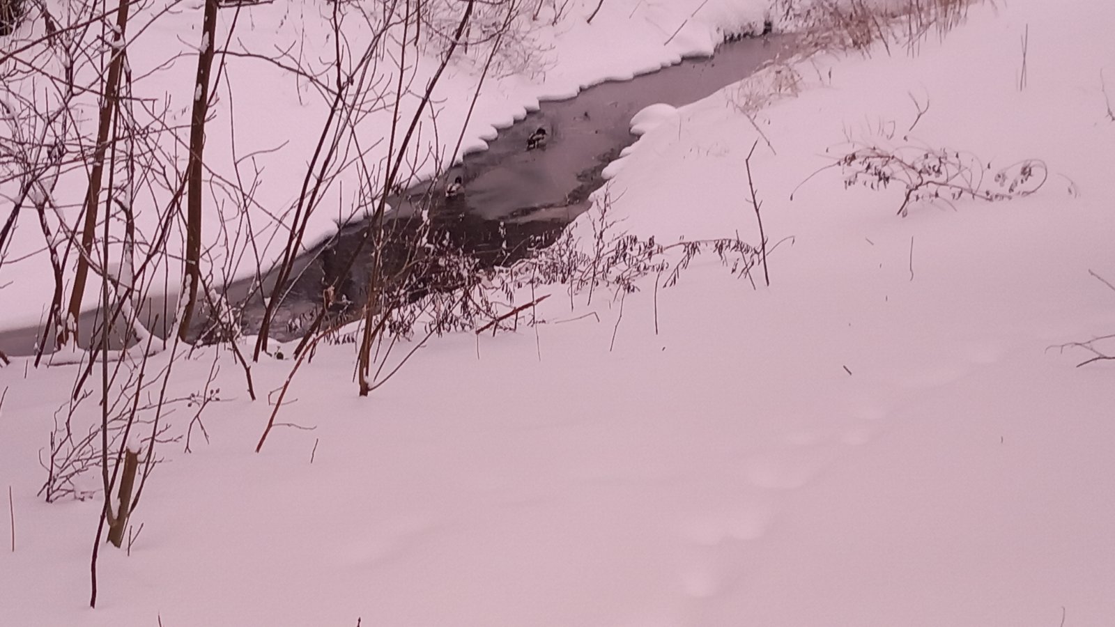 20260206_082715.jpg