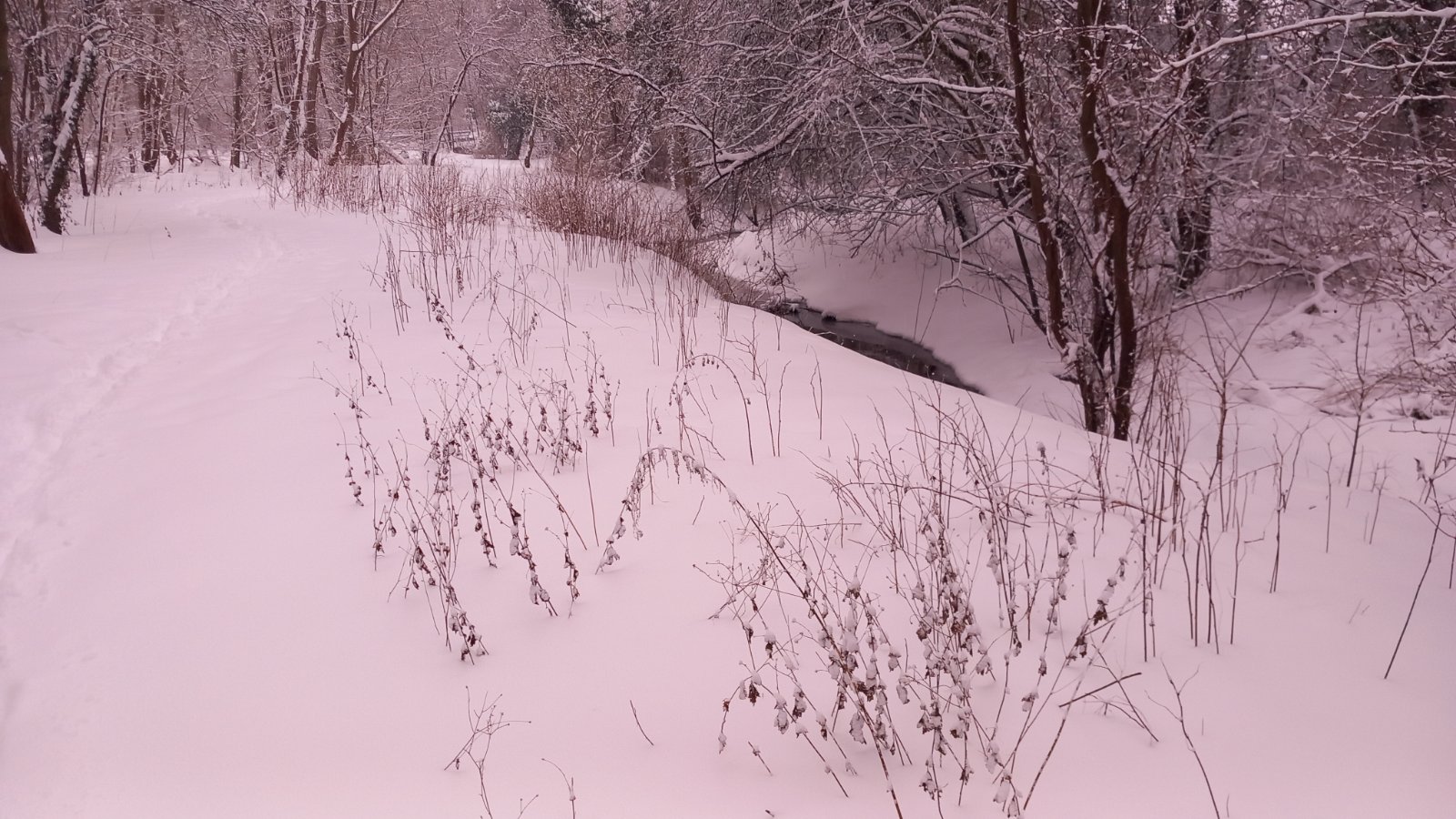 20260206_082731.jpg