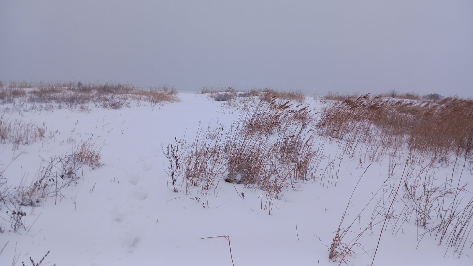 20260206_083623.jpg