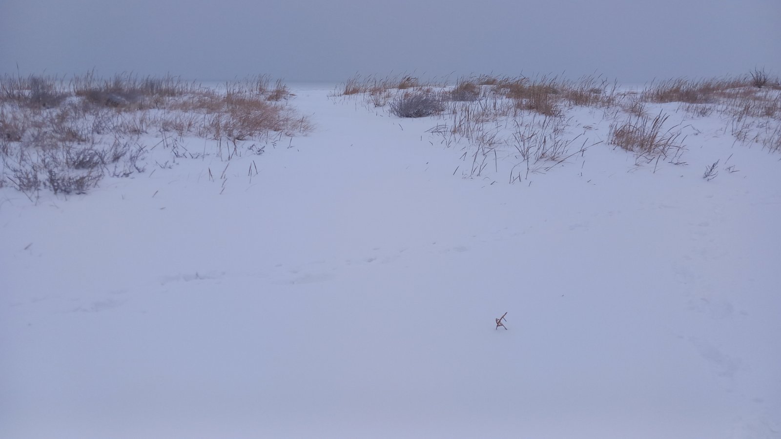 20260206_083637.jpg