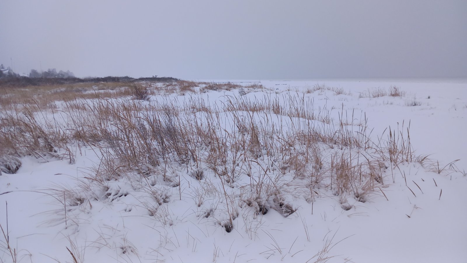 20260206_083705.jpg