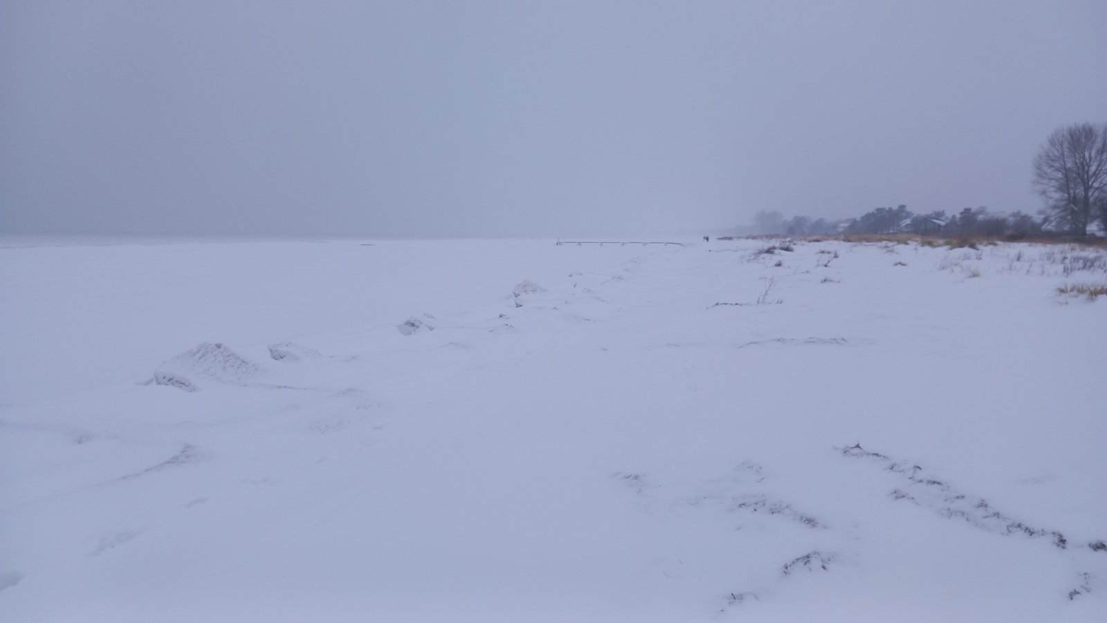 20260206_083744.jpg
