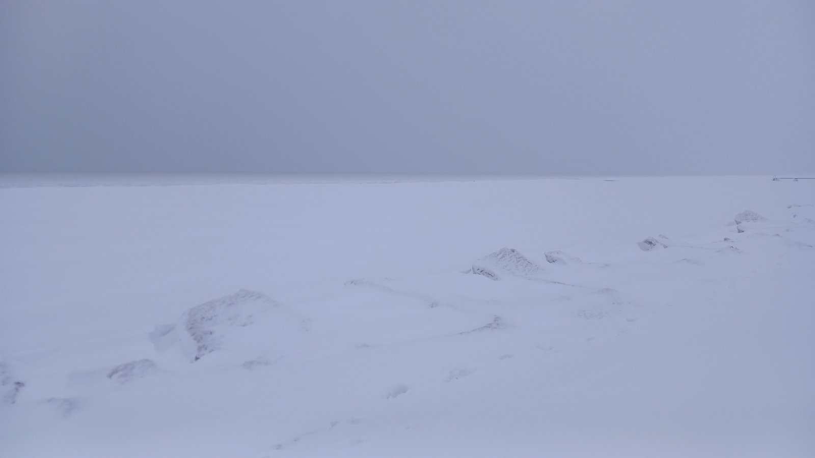20260206_083746.jpg