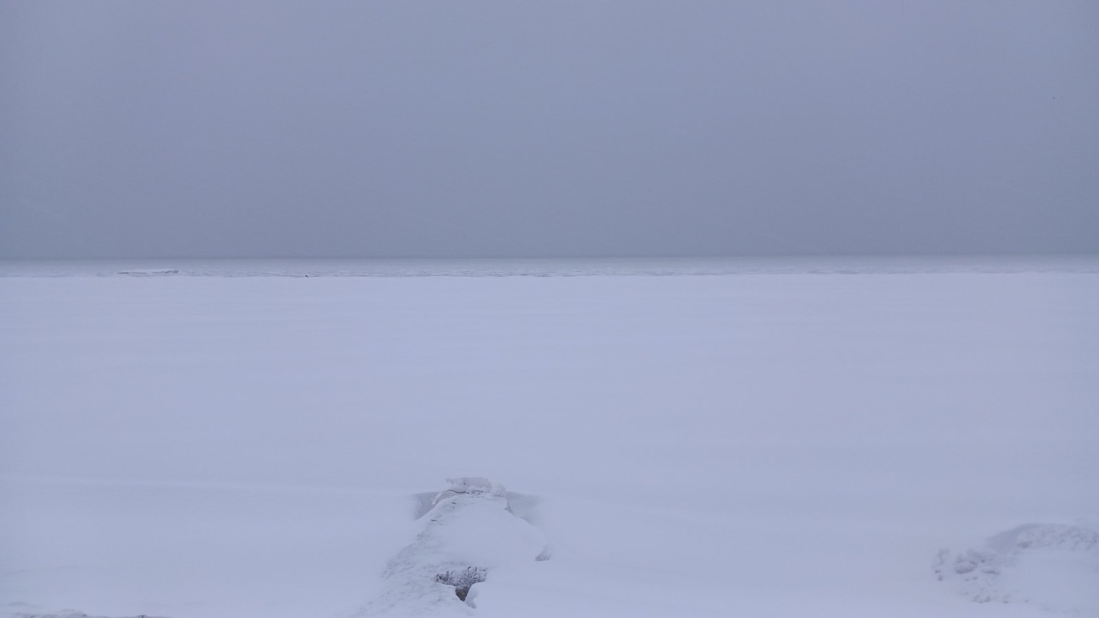 20260206_083751.jpg