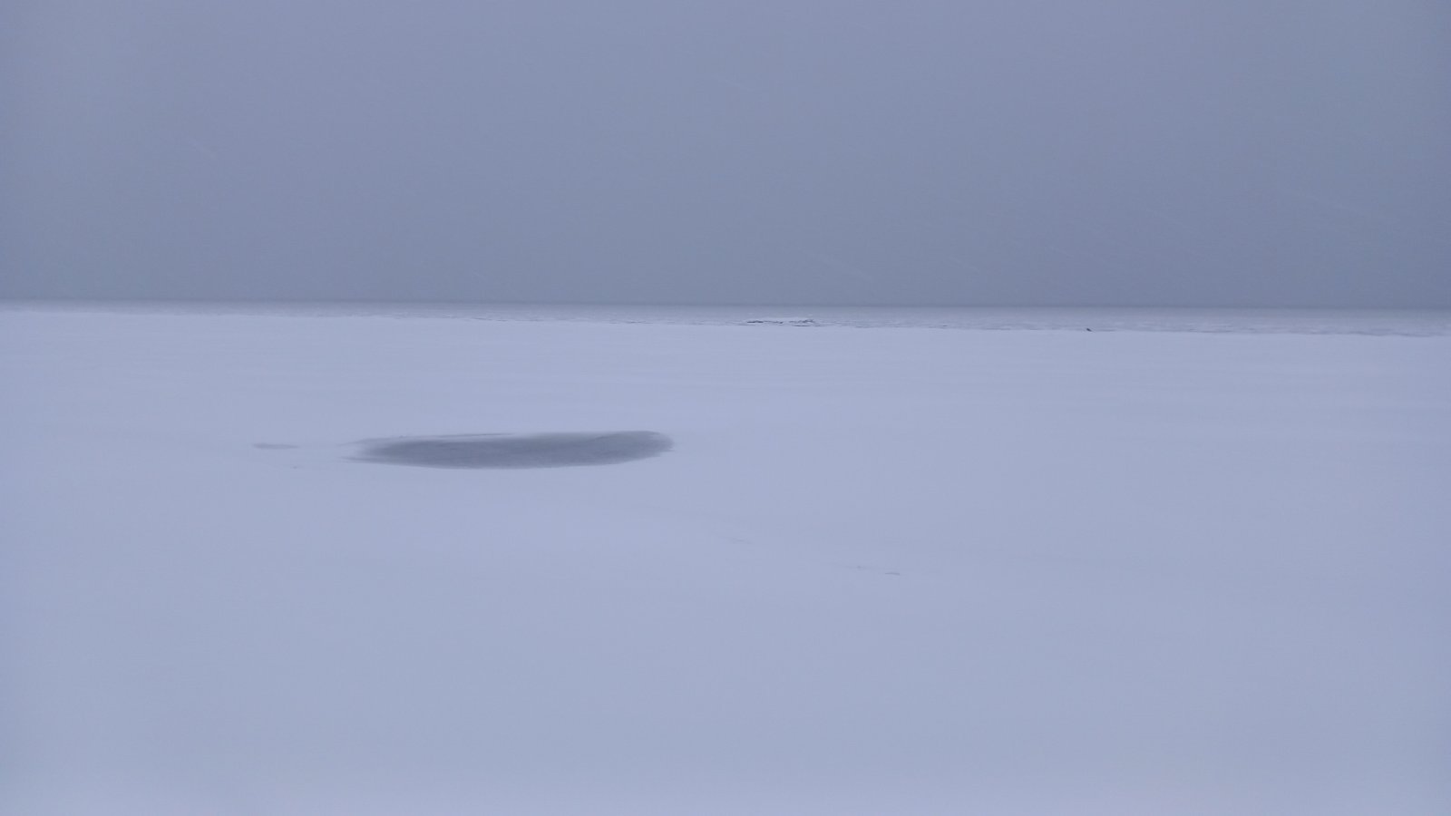20260206_083821.jpg
