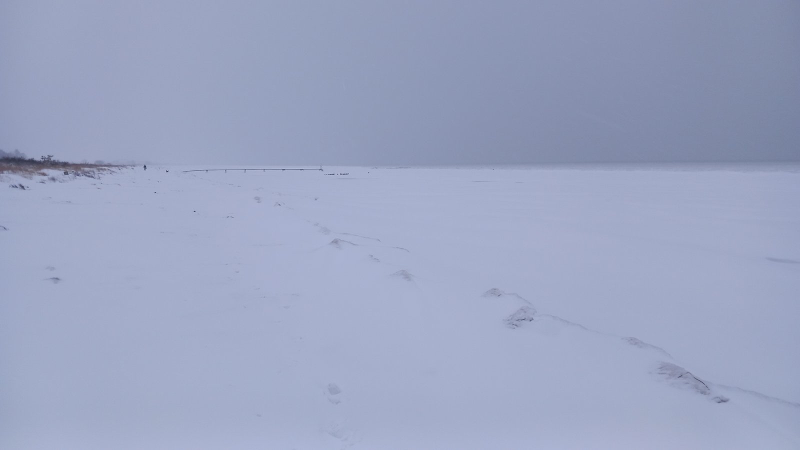 20260206_083828.jpg