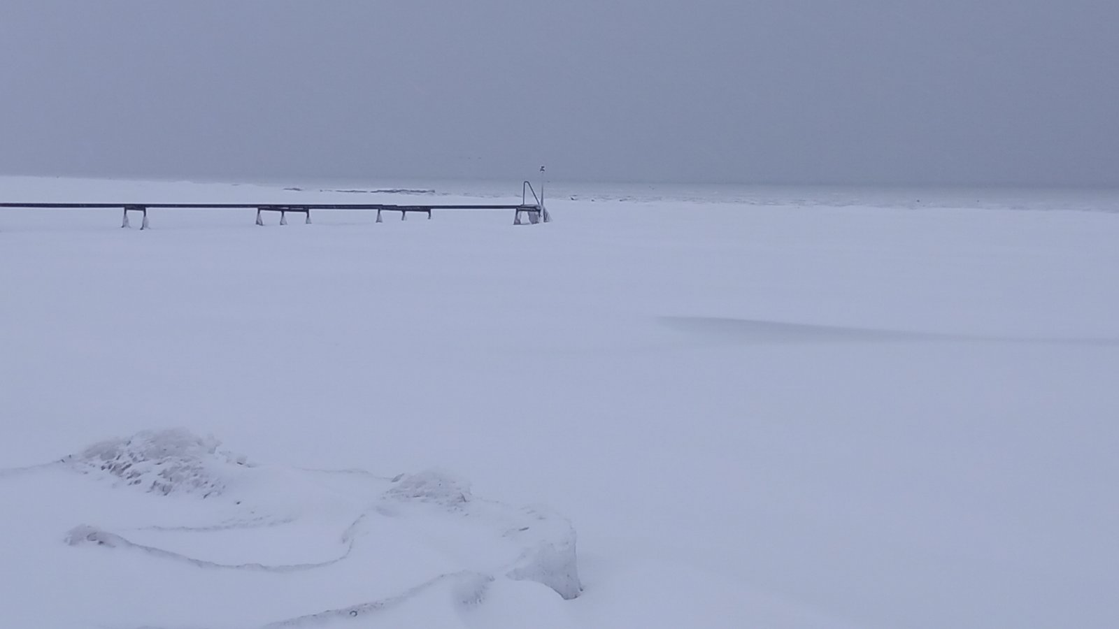 20260206_084150.jpg