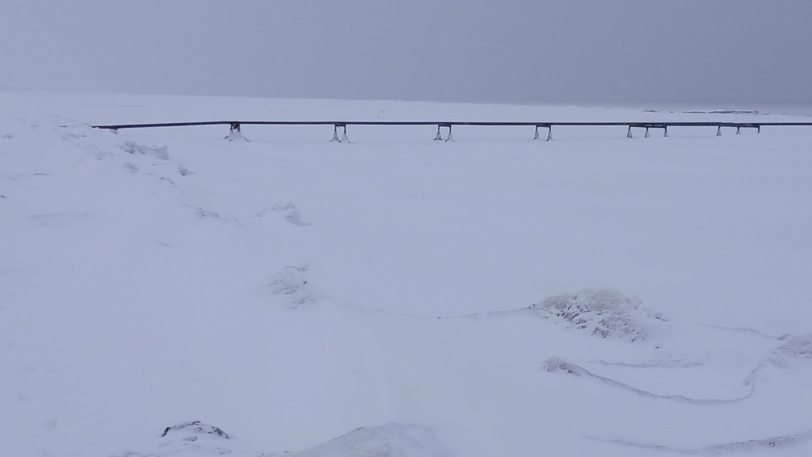 20260206_084155.jpg