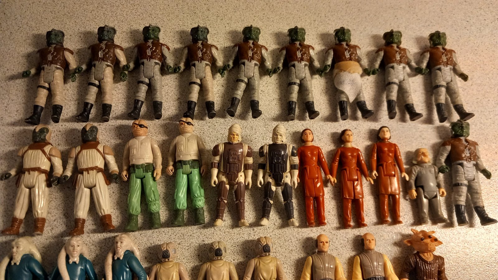 20260211_143214.jpg