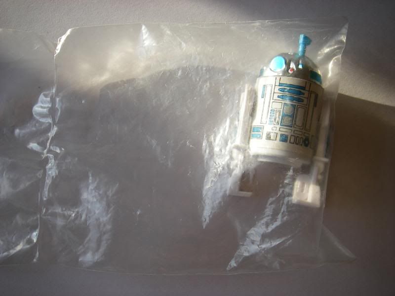 IMGP8005.jpg