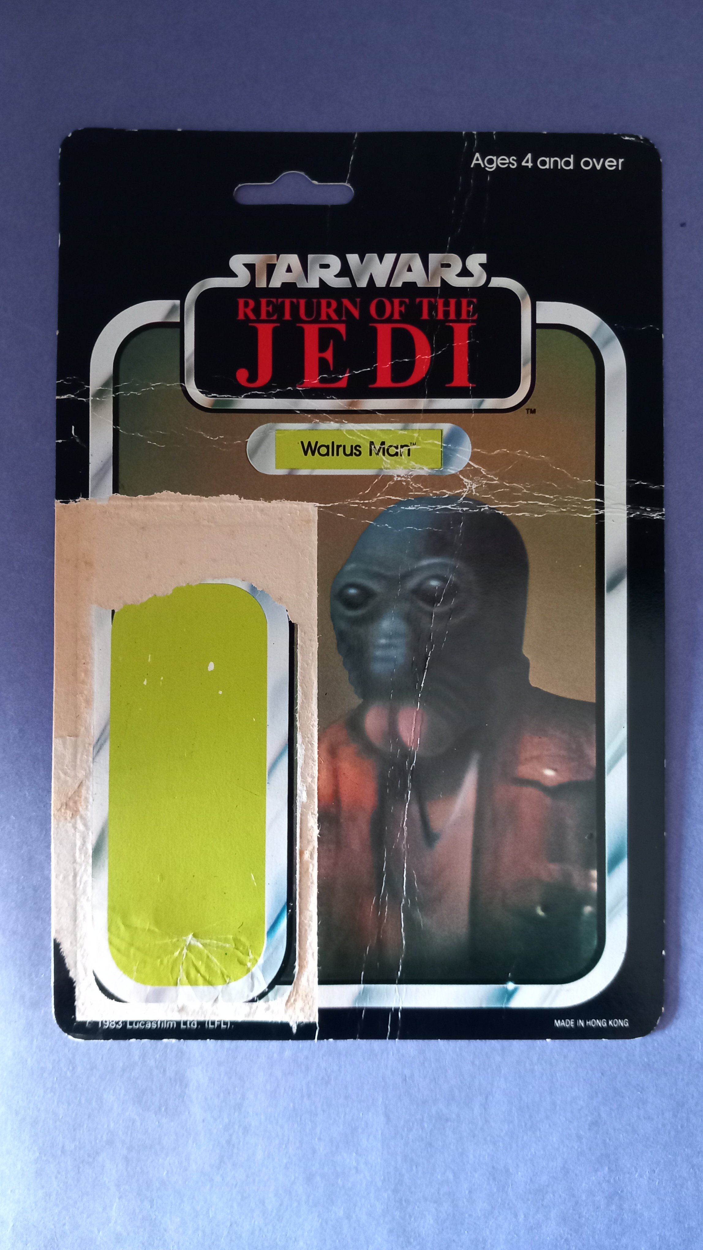 20240309_122851.jpg