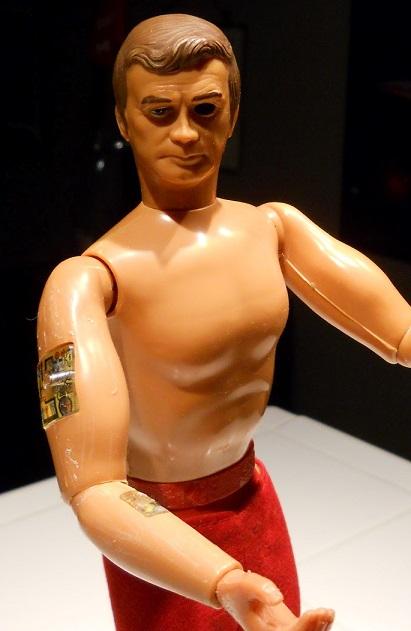 Upper Arm.jpg